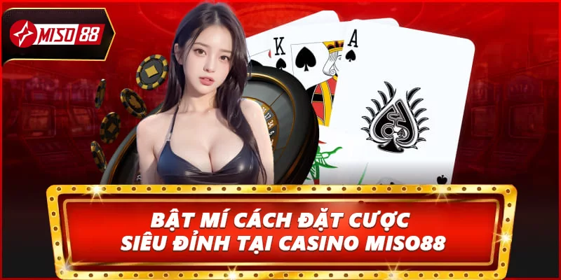 Bật mí cách đặt cược siêu đỉnh tại Casino Miso88