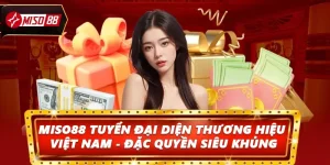 Hot: Miso88 Tuyển Đại Diện Thương Hiệu Tại Việt Nam 