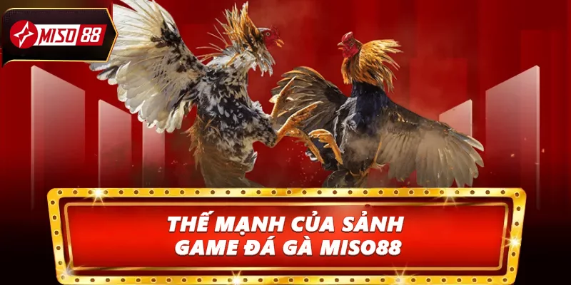 Thế mạnh của sảnh game đá gà Miso88